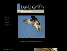 Tablet Screenshot of dmg-photography.com